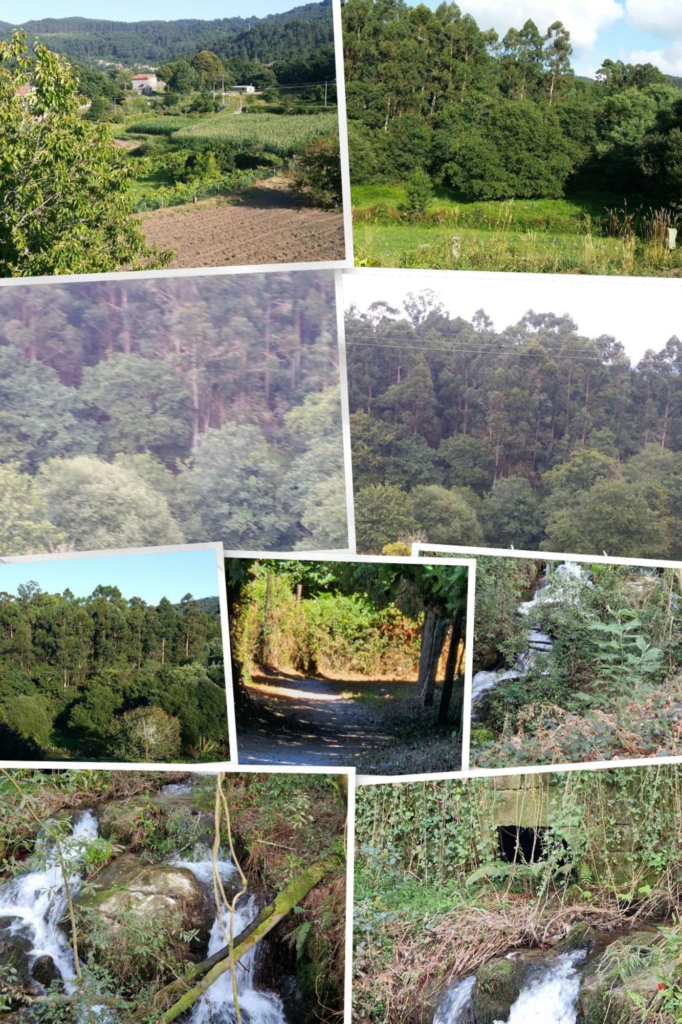 Villa Campo Das Medas , En Medio De La Naturaleza Con Piscina Privada De Sal Gondomar Exteriör bild